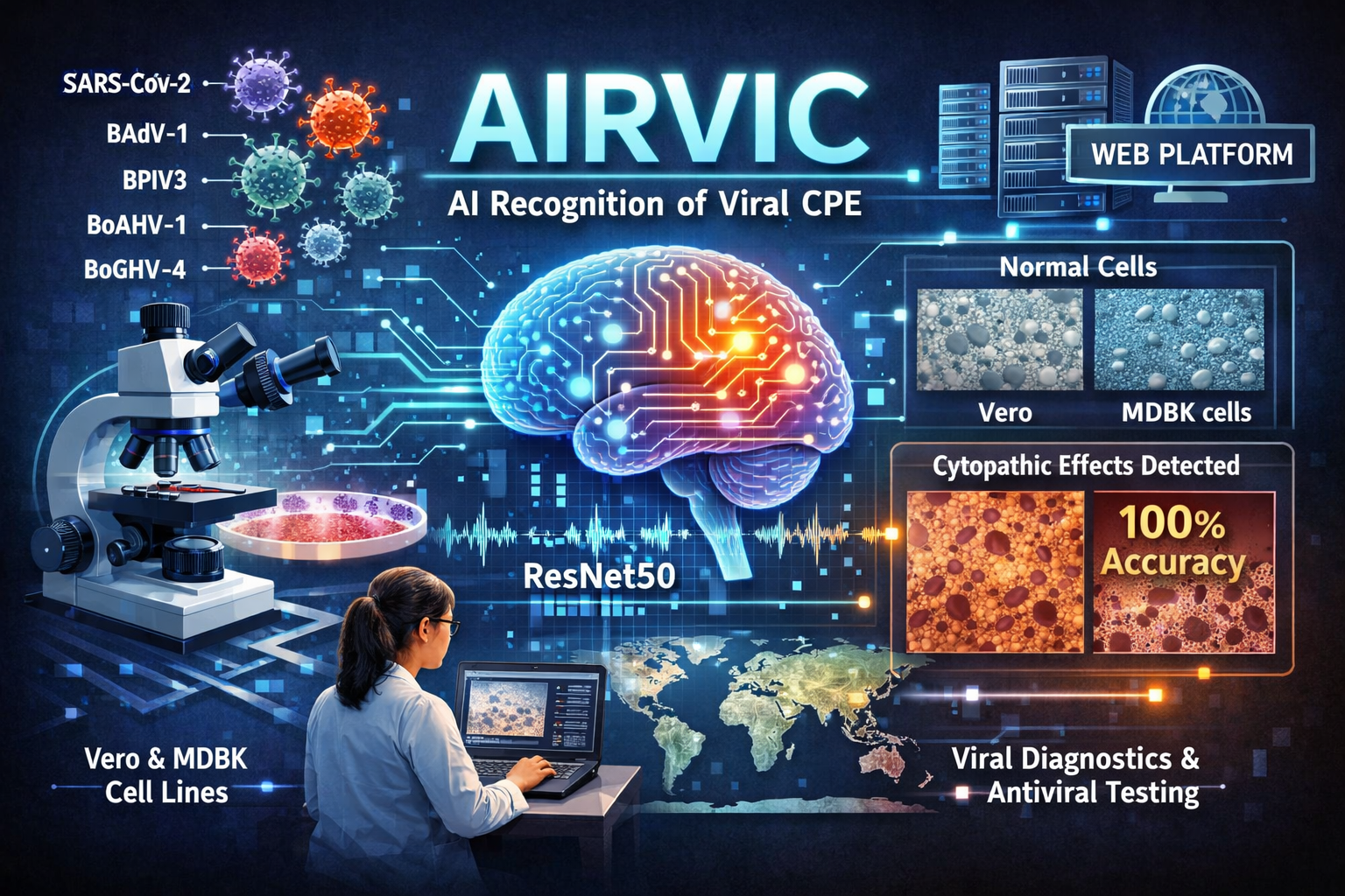 chatgpt image mar 11, 2026, 11 09 46 am