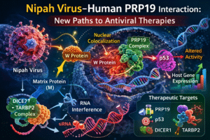 chatgpt image mar 16, 2026, 10 43 56 am