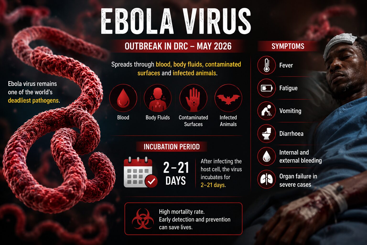 Ebola Virus VP24 and VP35 Interactions Reveal New Antiviral Drug Targets Ebola virus outbreak
