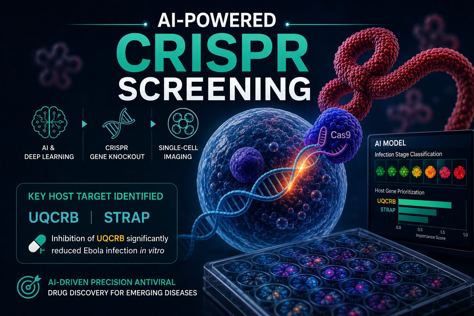 AI based CRISPER screening