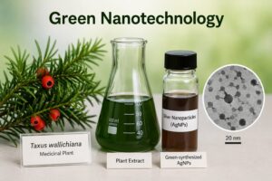 Green Nanotechnology using plants for Cancer and Inflammation treatment chatgpt image jul 9, 2026, 01 14 52 am