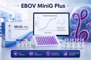 New Ebola Screening Platform, EBOV MiniG Plus