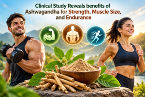 Clinical Study Reveals benefits of Ashwagandha for Strength, Muscle Size, and Endurance